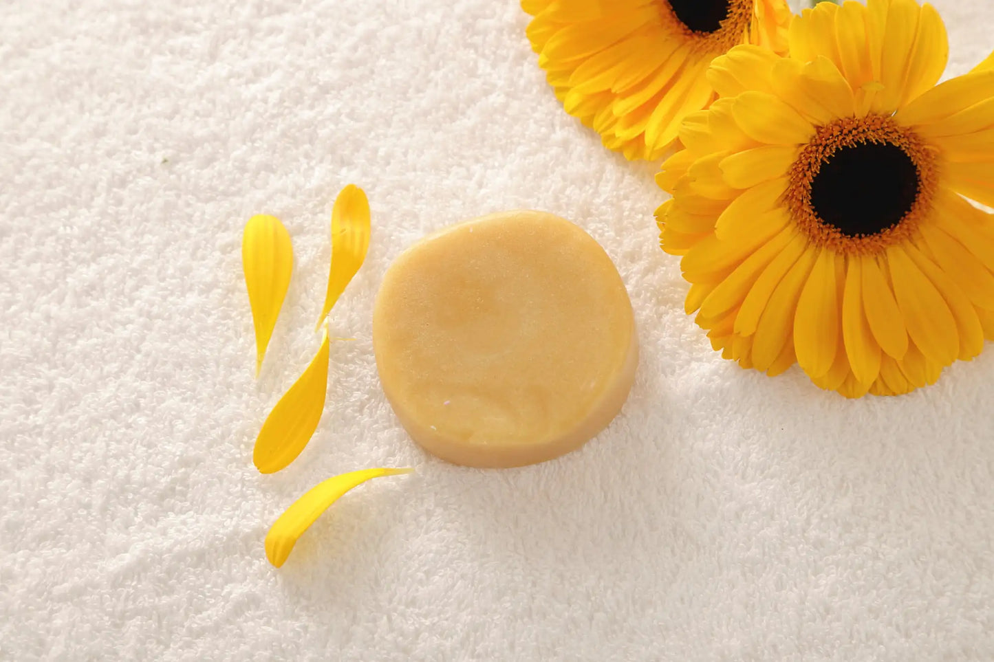 All-Natural Citrus Conditioner Bar - Eco-Friendly